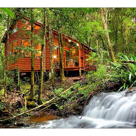 The Mouses House Rainforest Retreat Springbrook Esterno foto