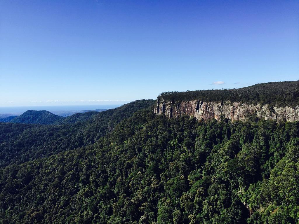 The Mouses House Rainforest Retreat Springbrook Esterno foto