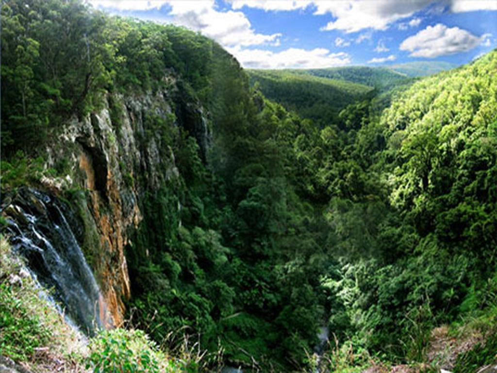 The Mouses House Rainforest Retreat Springbrook Esterno foto