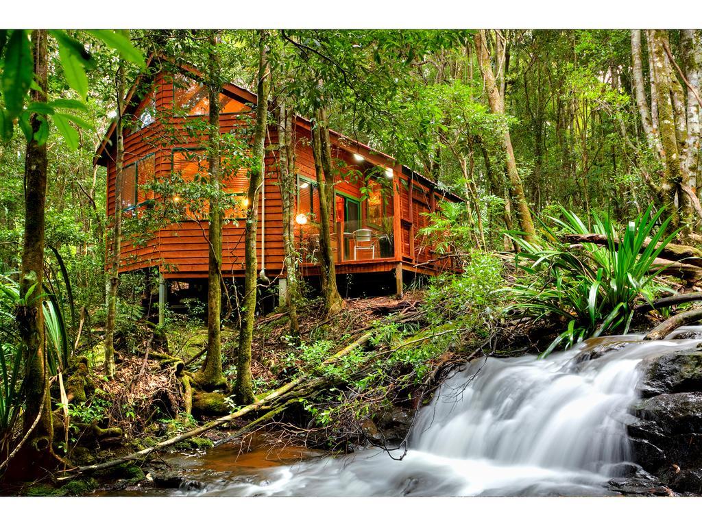 The Mouses House Rainforest Retreat Springbrook Esterno foto