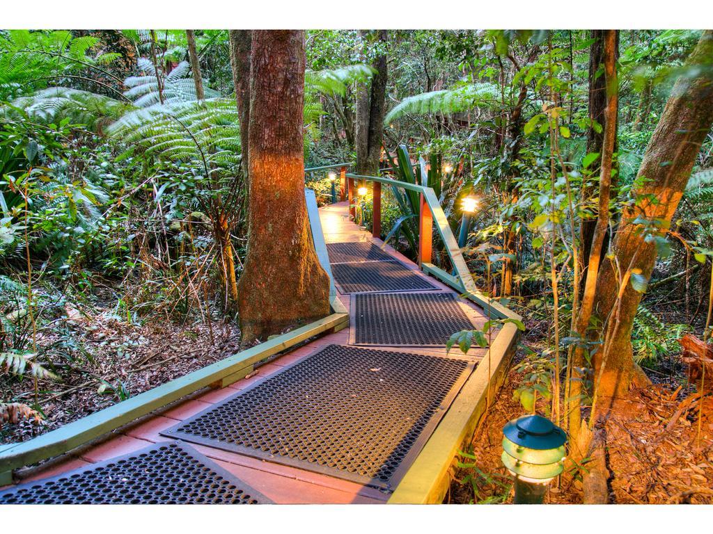 The Mouses House Rainforest Retreat Springbrook Esterno foto