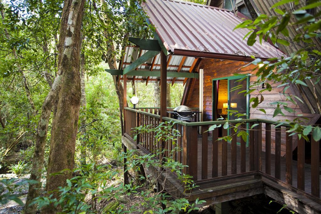 The Mouses House Rainforest Retreat Springbrook Esterno foto