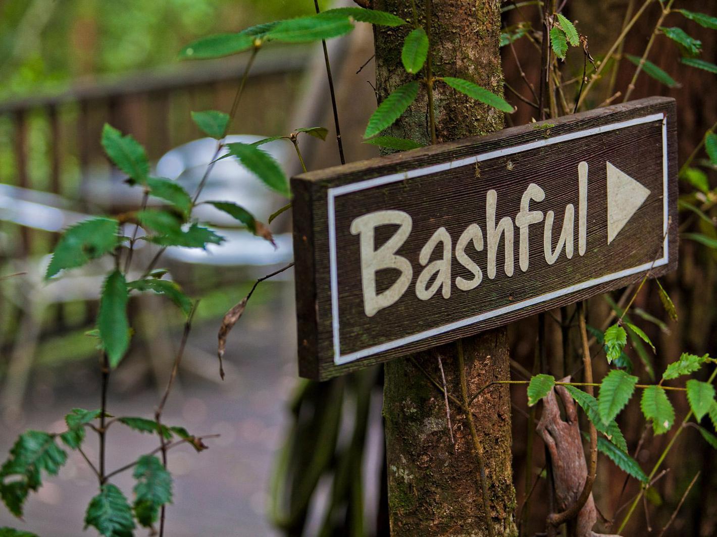 The Mouses House Rainforest Retreat Springbrook Esterno foto