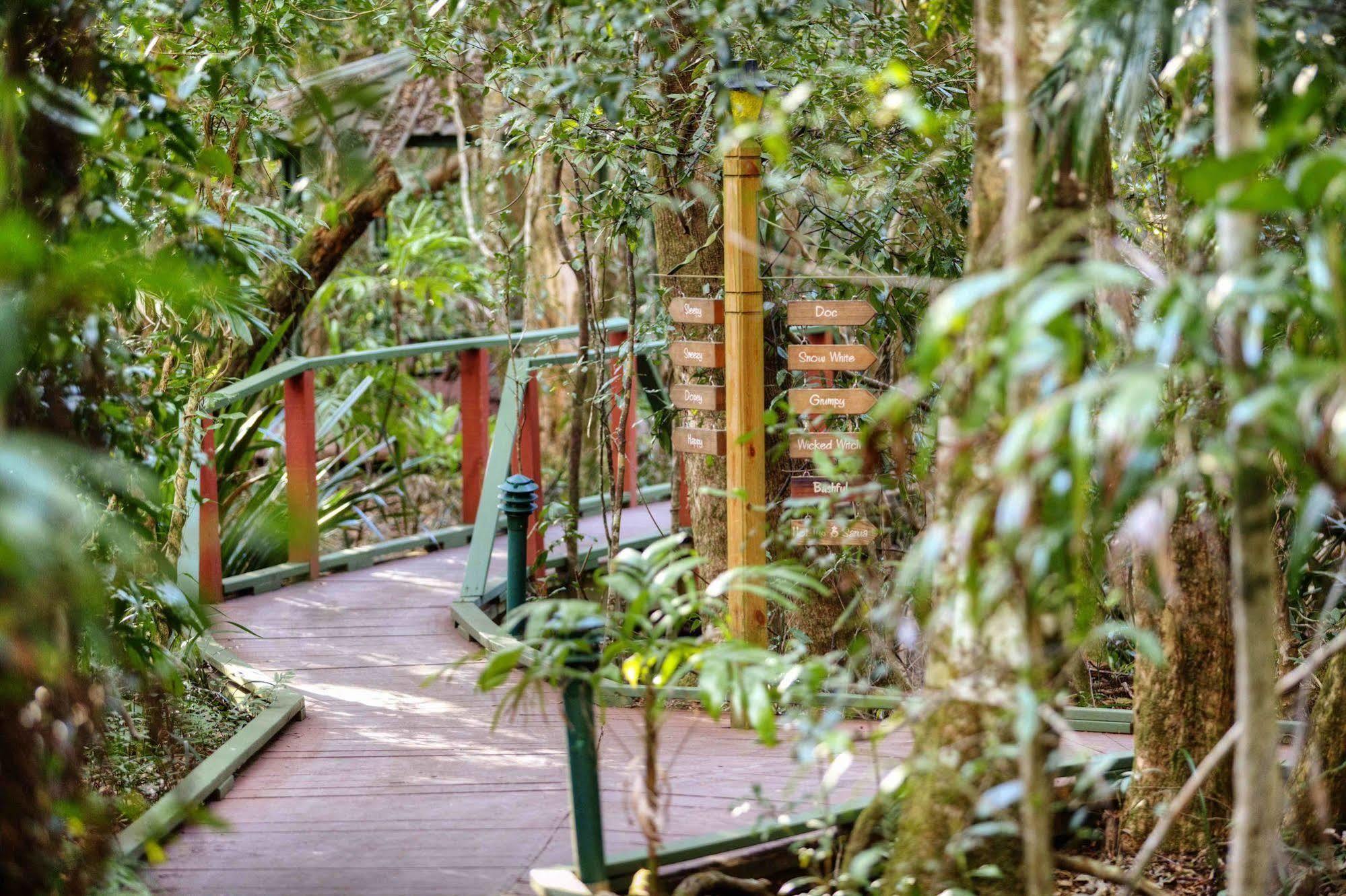 The Mouses House Rainforest Retreat Springbrook Esterno foto