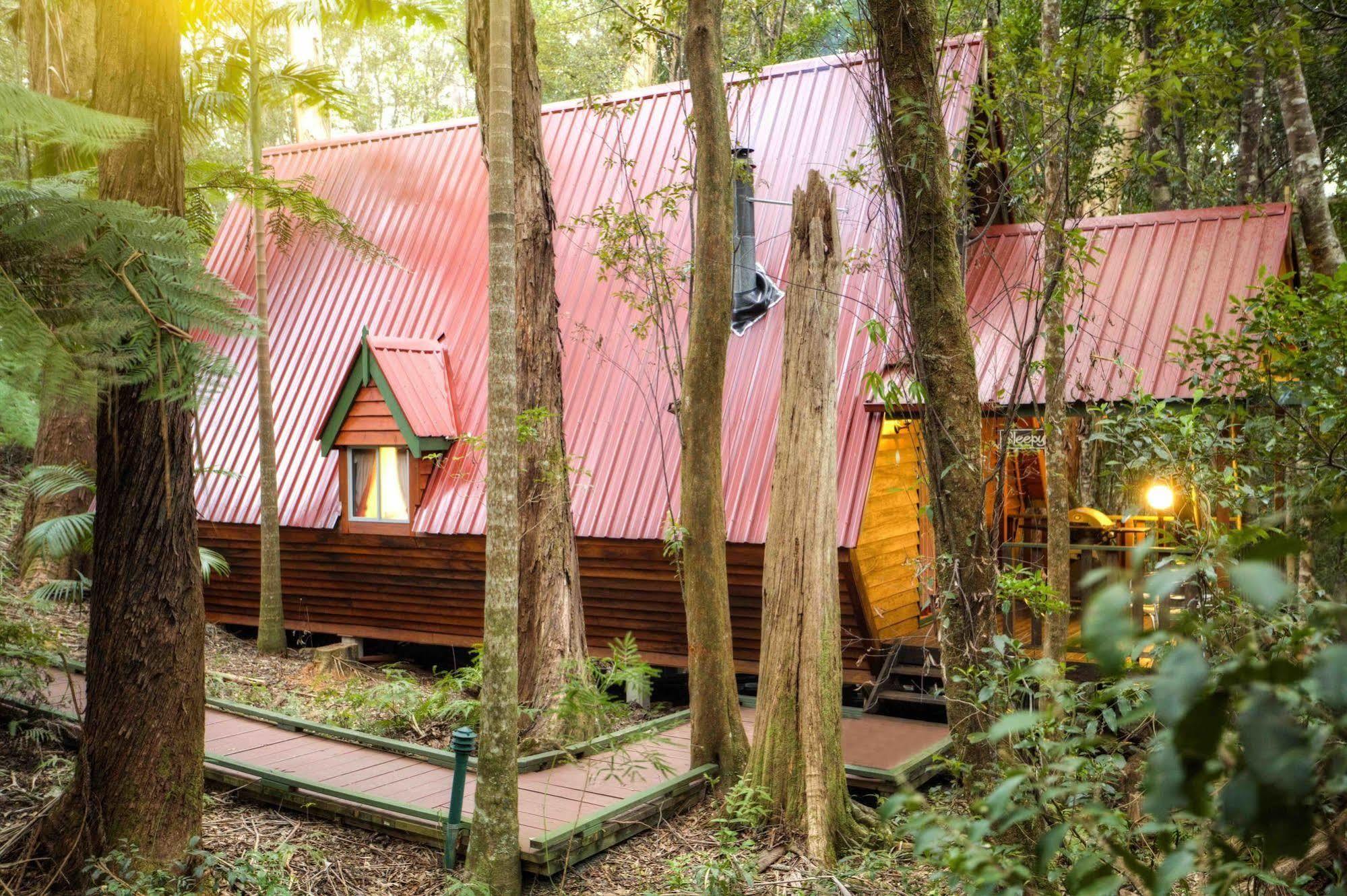 The Mouses House Rainforest Retreat Springbrook Esterno foto