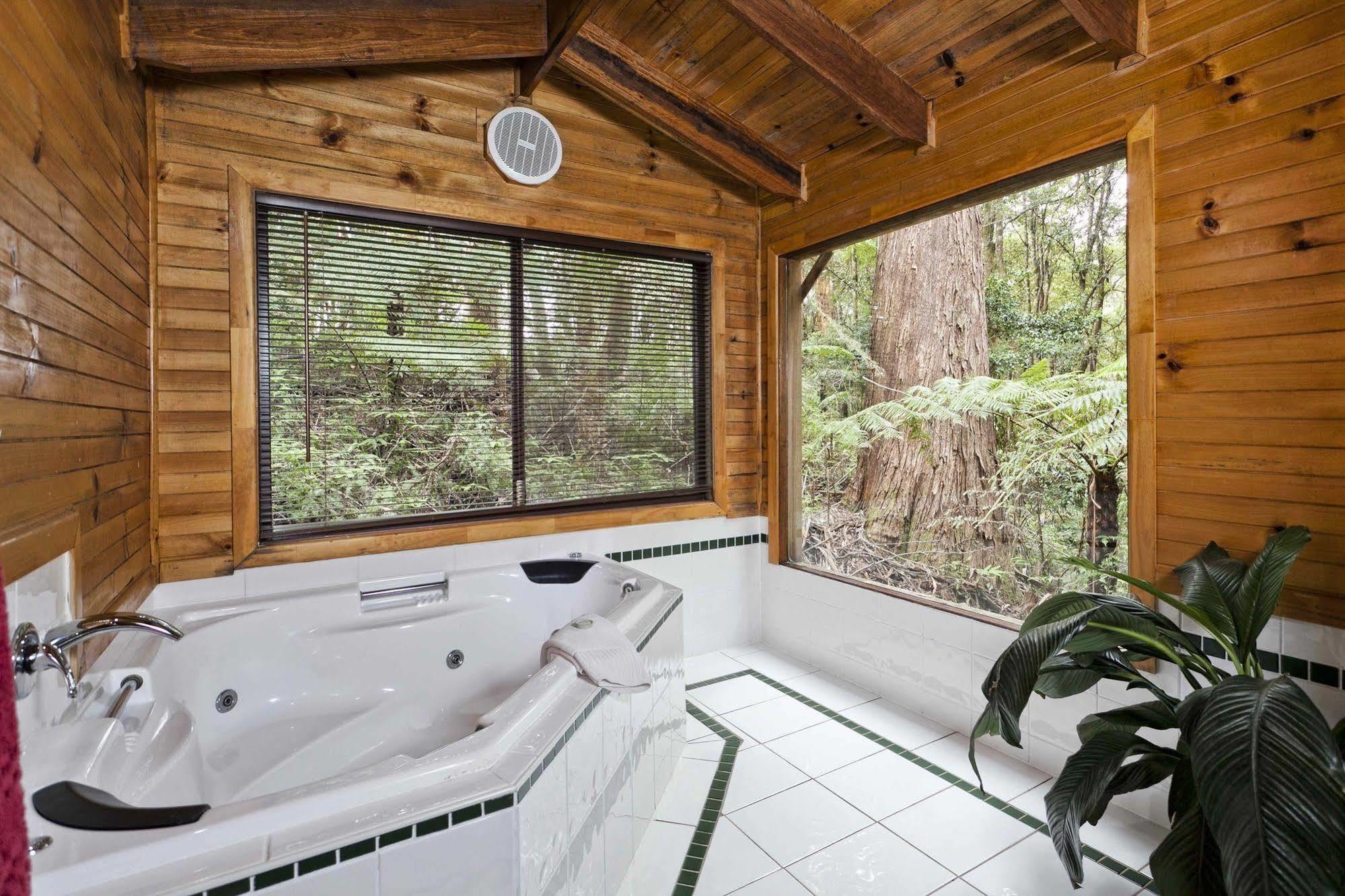The Mouses House Rainforest Retreat Springbrook Esterno foto